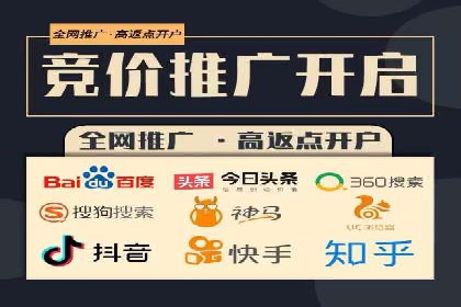 知名SEM服务公司成功案例分享